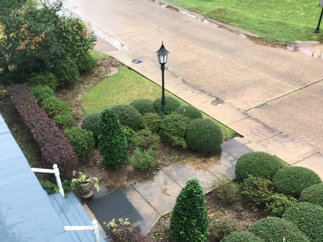 The Queen Anne Bed & Breakfast主图