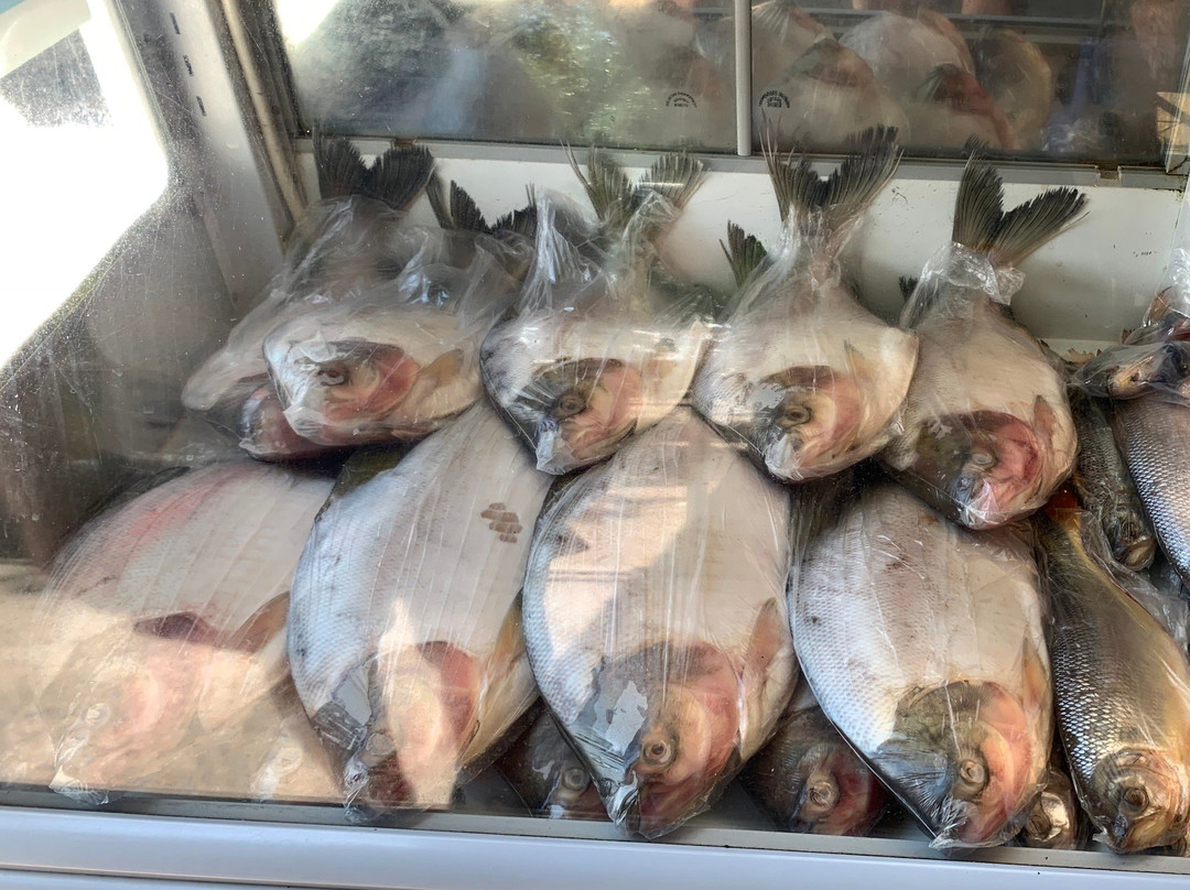 Mercado do Porto景点图片
