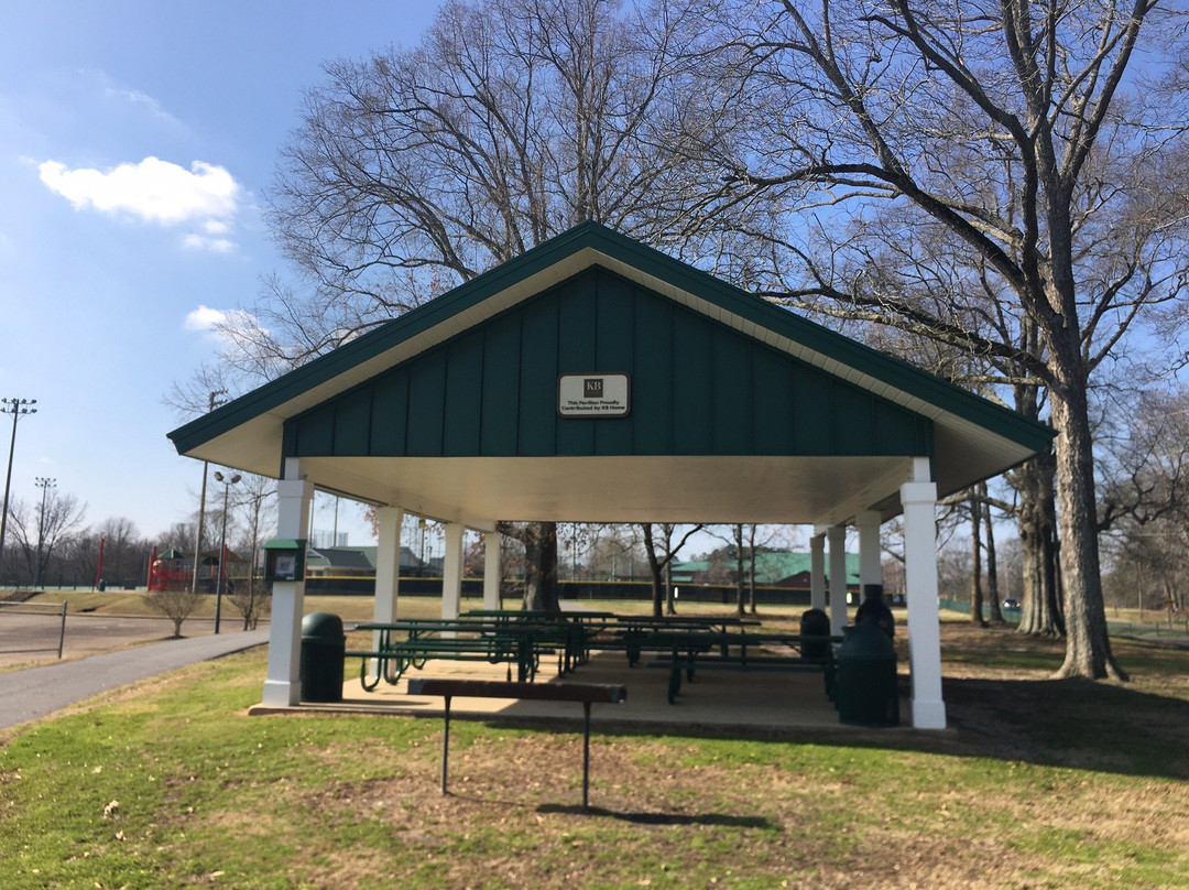 Coal Mountain Park-卡明必去景点