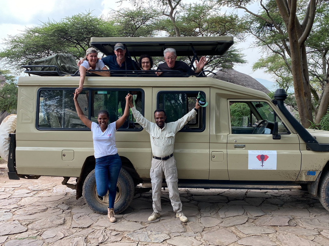 Matriarch Hill Safari-莫西必去景点