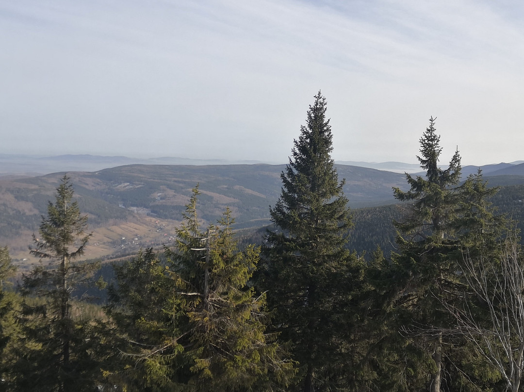 Hotel Malachit主图