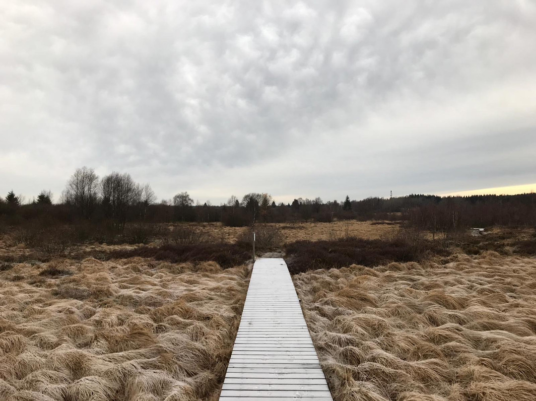 Kalterherberg旅游攻略图片