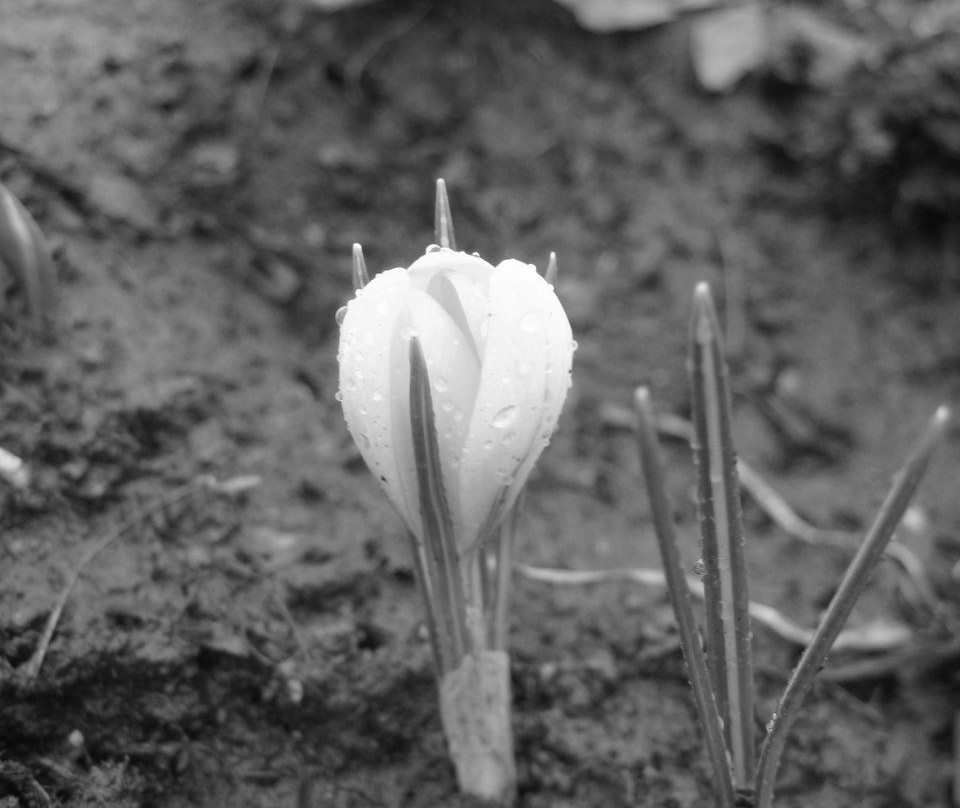 Butovo Firing Range-Butovo必去景点