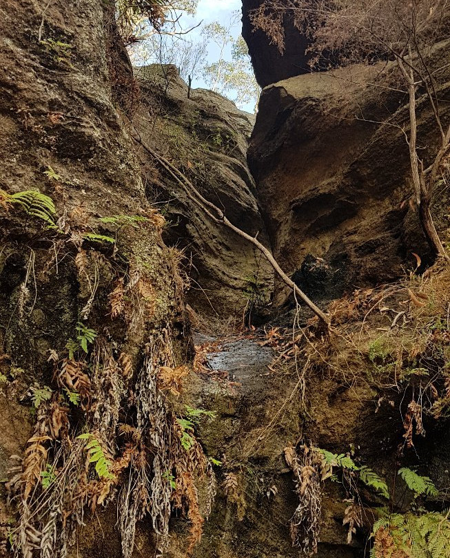 Blackfellows Hand Cave-利特高必去景点