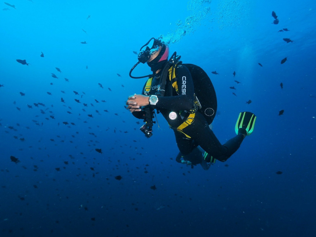 Raja Ampat Dive Center-Gam Island必去景点