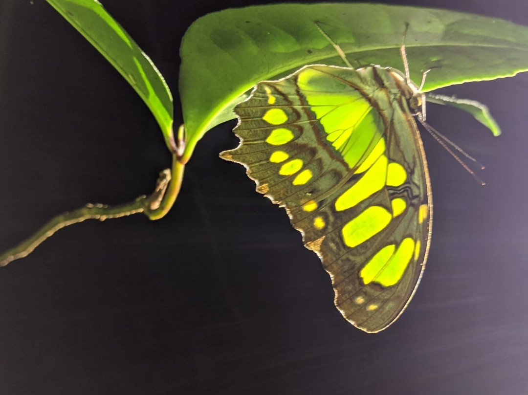 Monteverde Wildlife Refuge景点图片