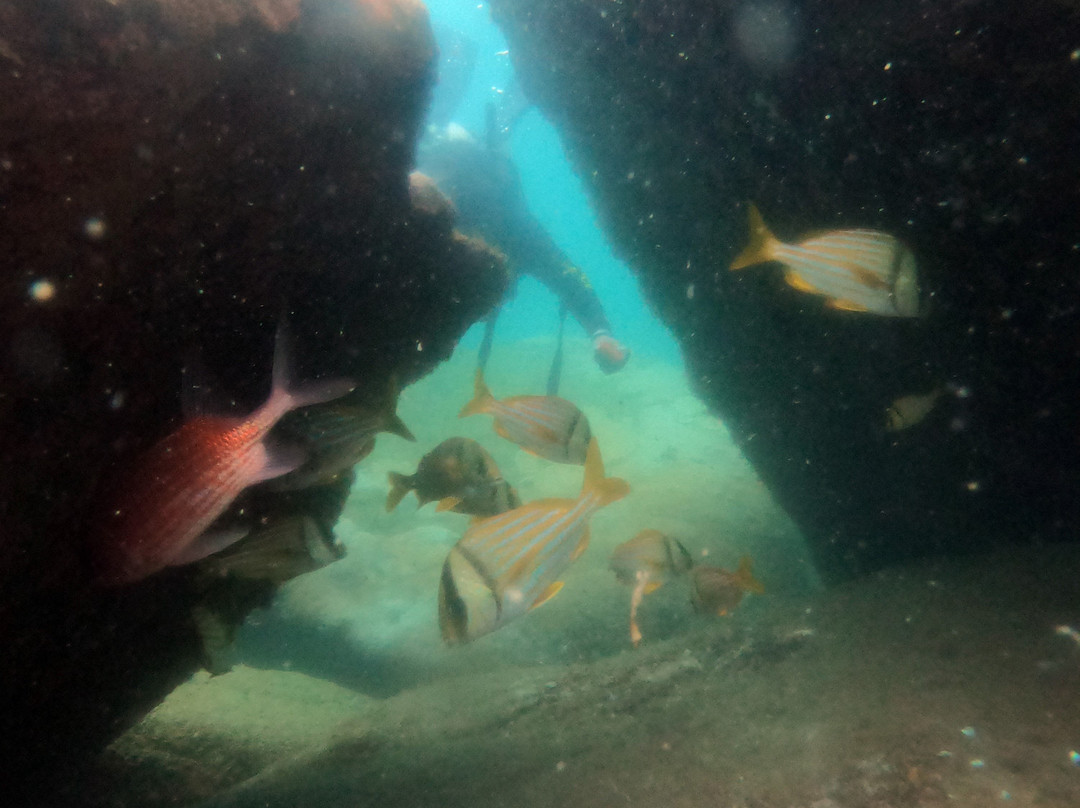 Acquanauta Floripa-弗洛里亚诺波利斯必去景点