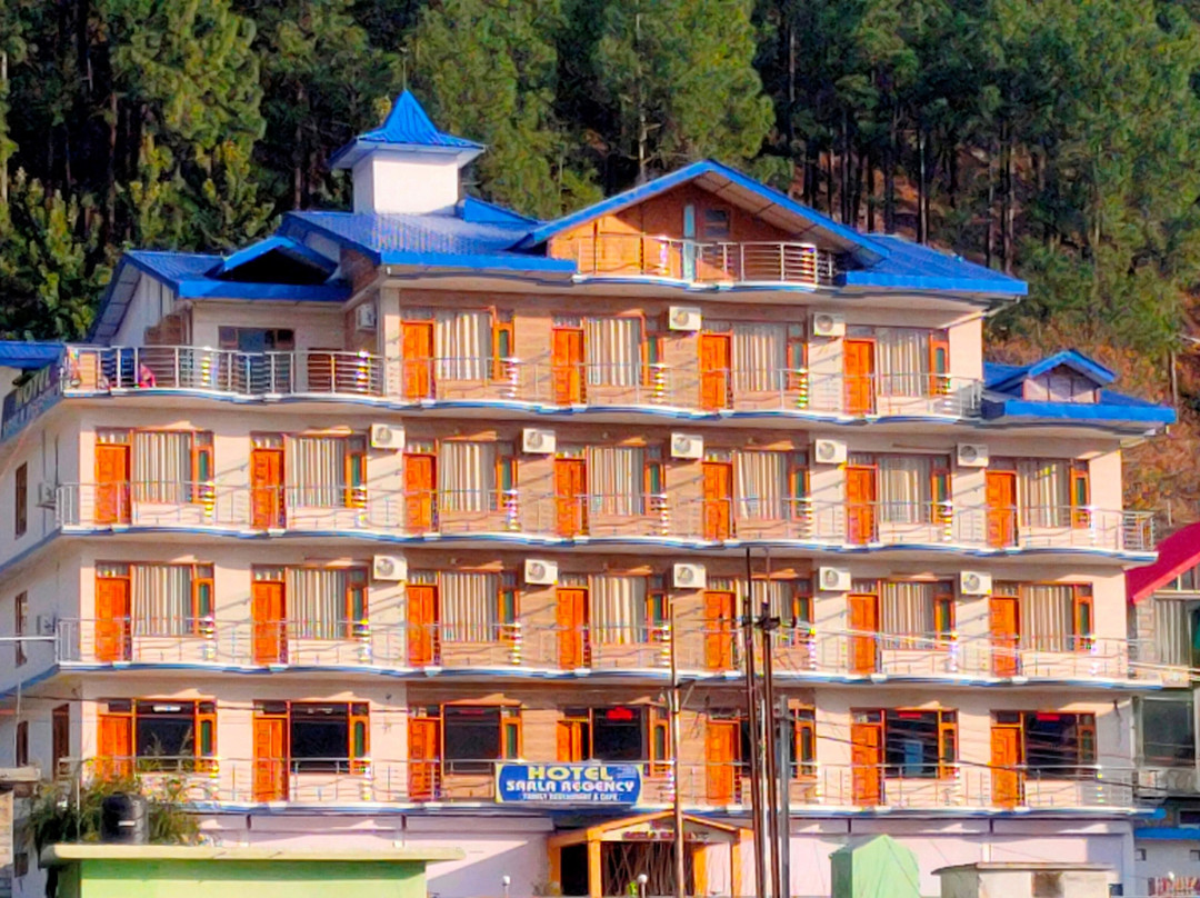 Shamshi酒店住宿-Sarla Regency