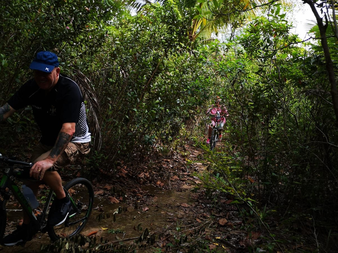 Phangan Bicycle Tours景点图片