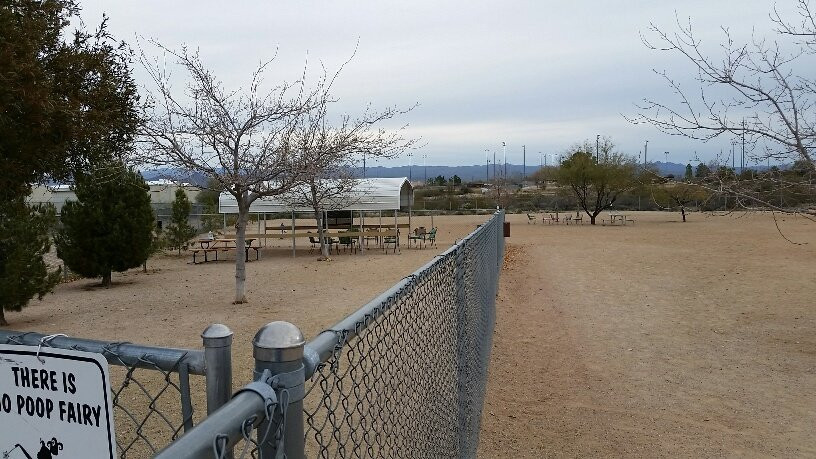 Wickenburg Dog Park-Wickenburg必去景点