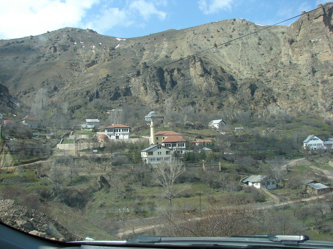 Ulu Camii景点图片