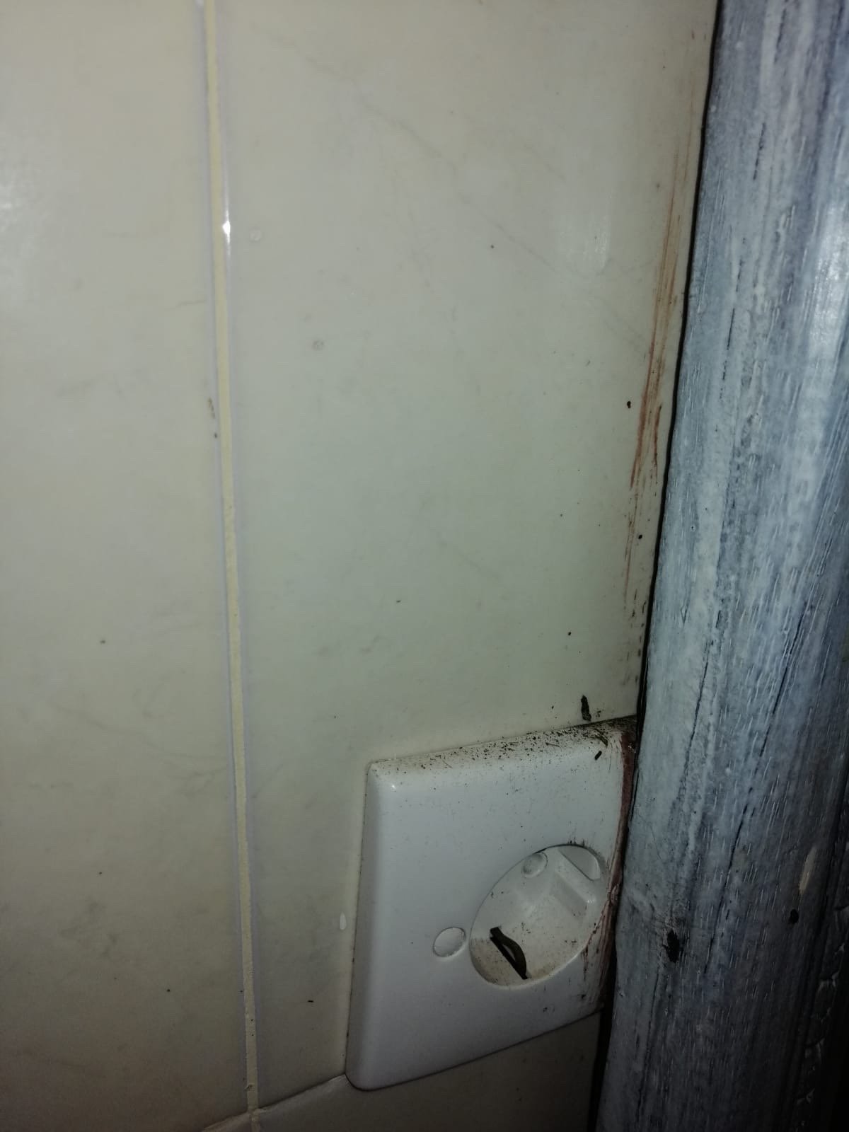 巴厘岛生态探险及度假中心-官方