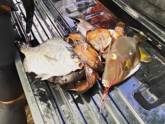 Top Shot Spearfishing-拉海纳必去景点