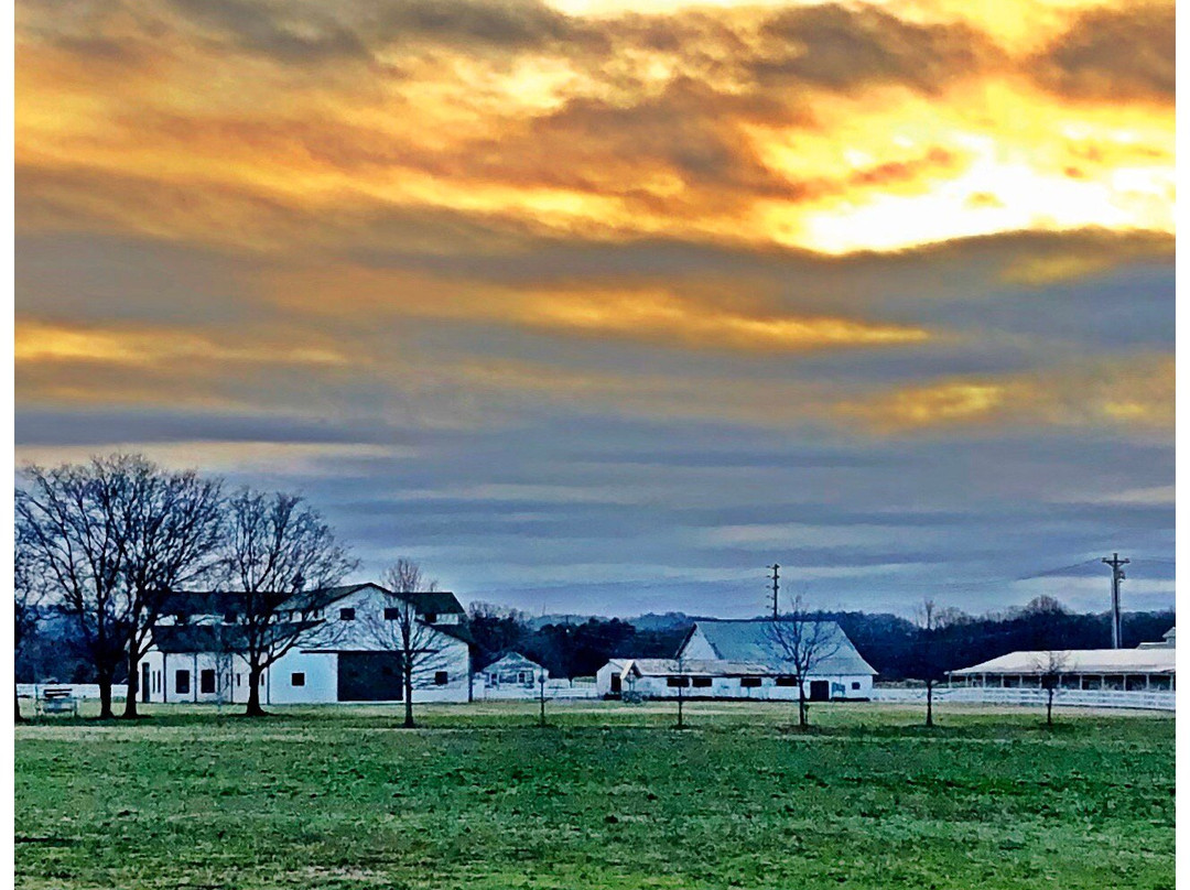 The Park at Harlinsdale Farm-富兰克林必去景点