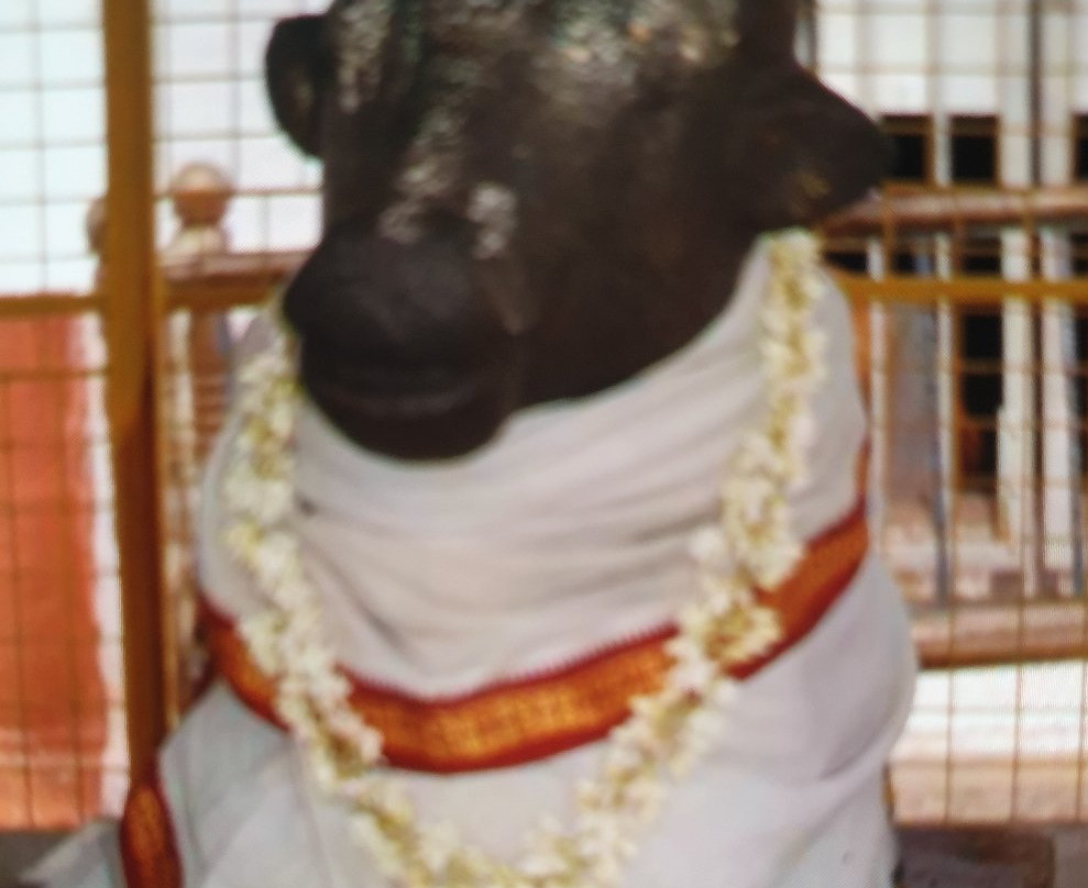 Masilamaniswara Temple, Thirumullaivoyal景点图片