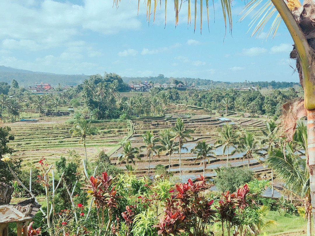 ヤスイツアー | Bali Yasui Tour-登巴萨必去景点