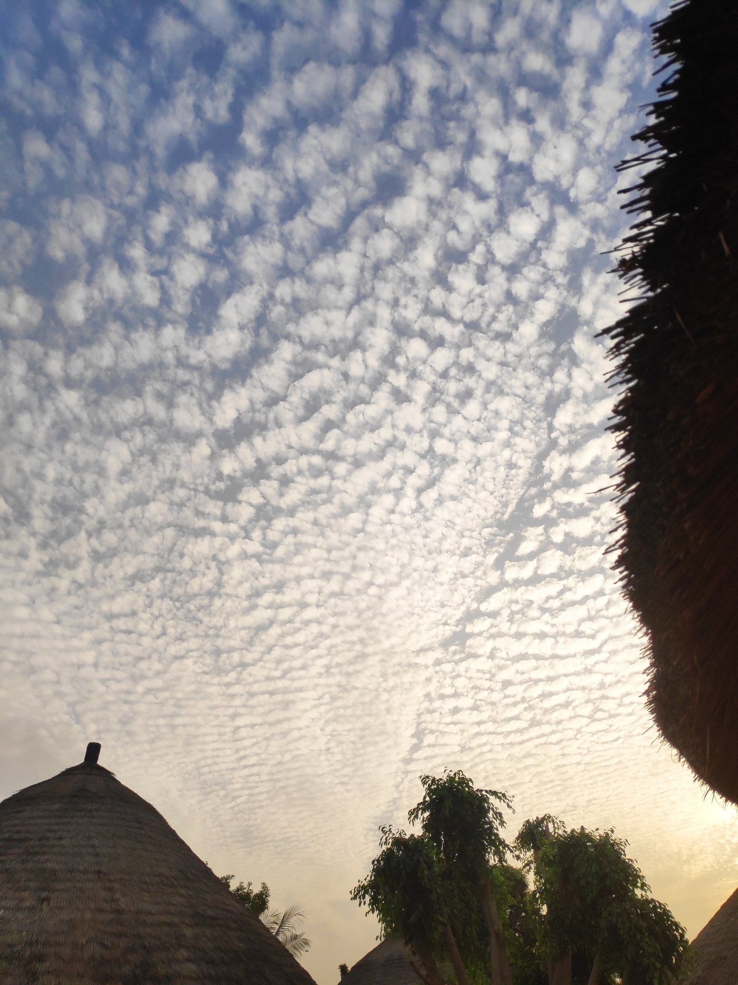 Hotel Oasis Oriental-官方