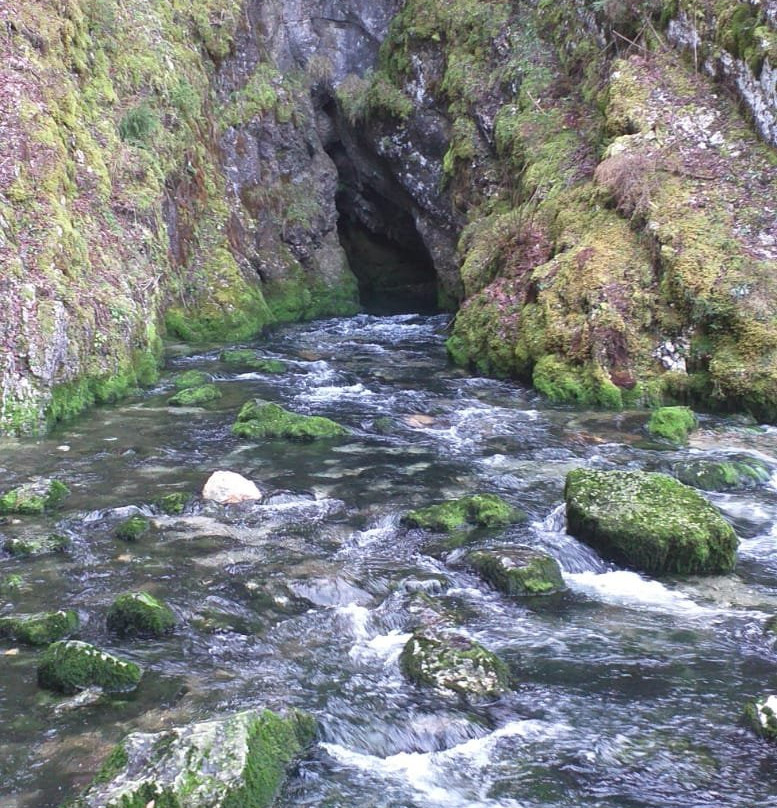 La Source du Doubs景点图片