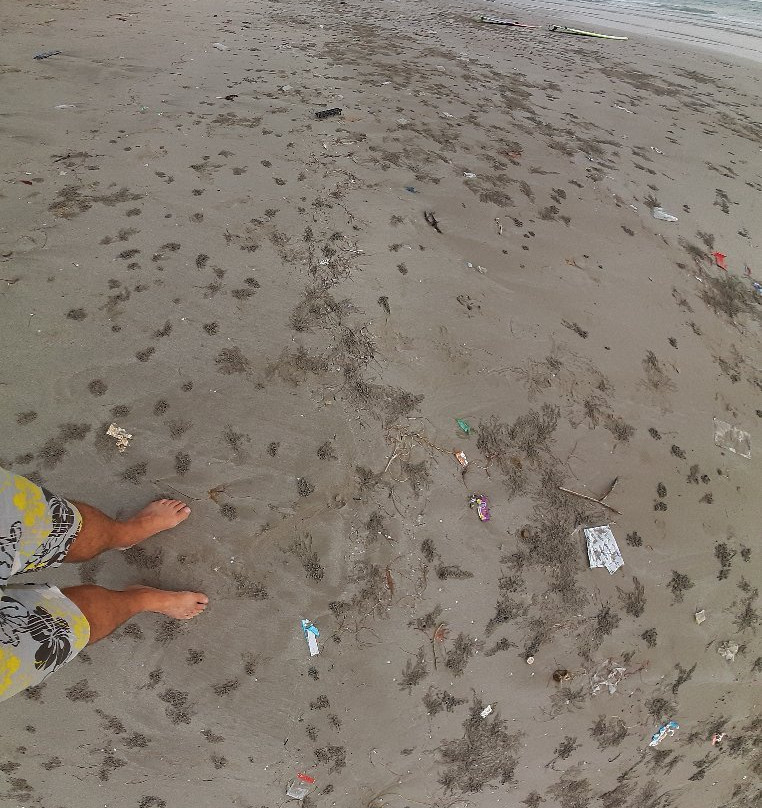 奈斯海滩酒店主图