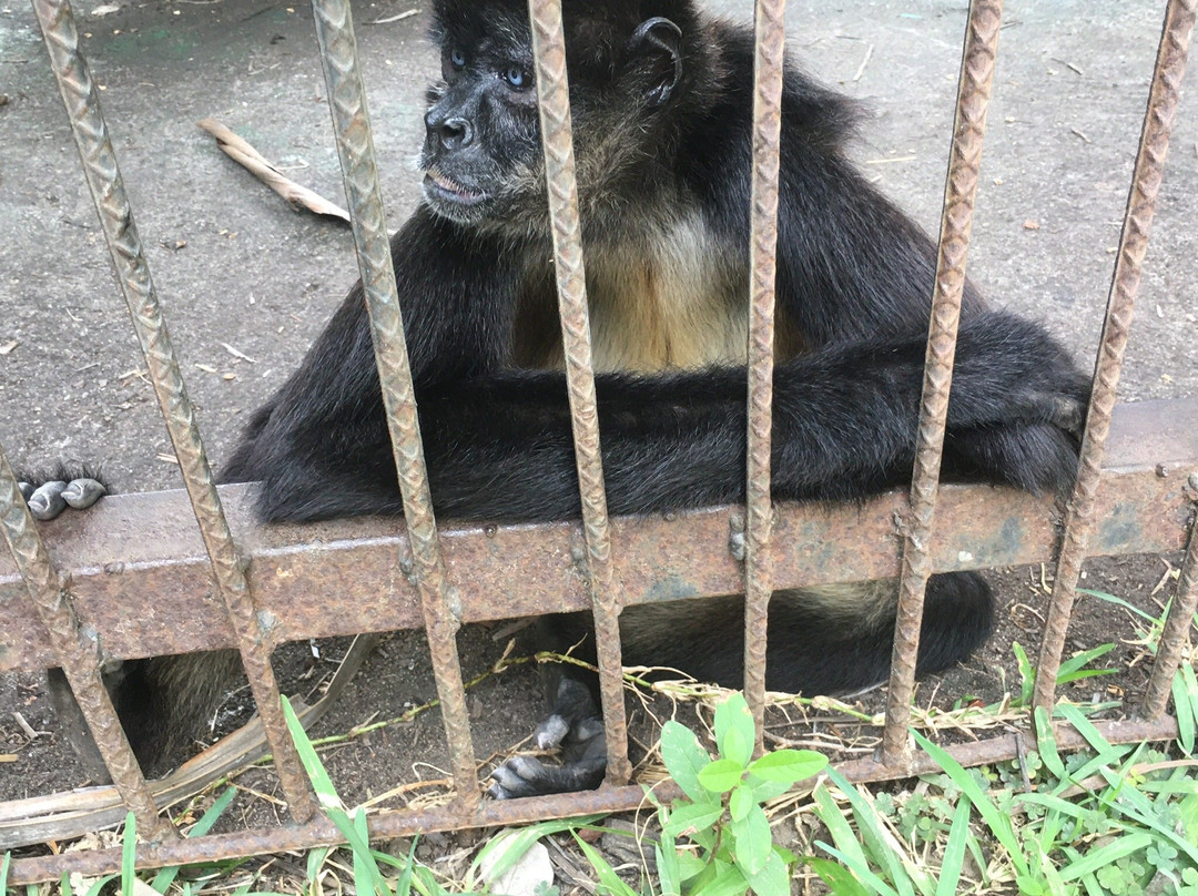 Danitours-曼萨尼约必去景点