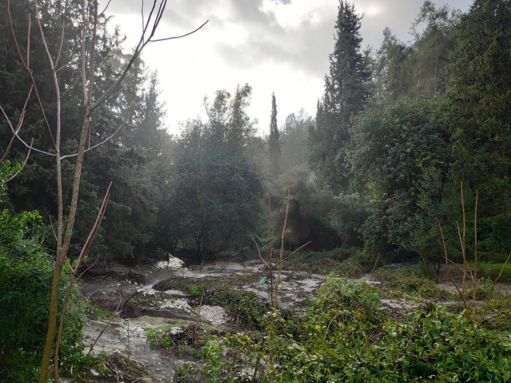 Nachal HaShofet - Shofet River-Ramot Menashe必去景点