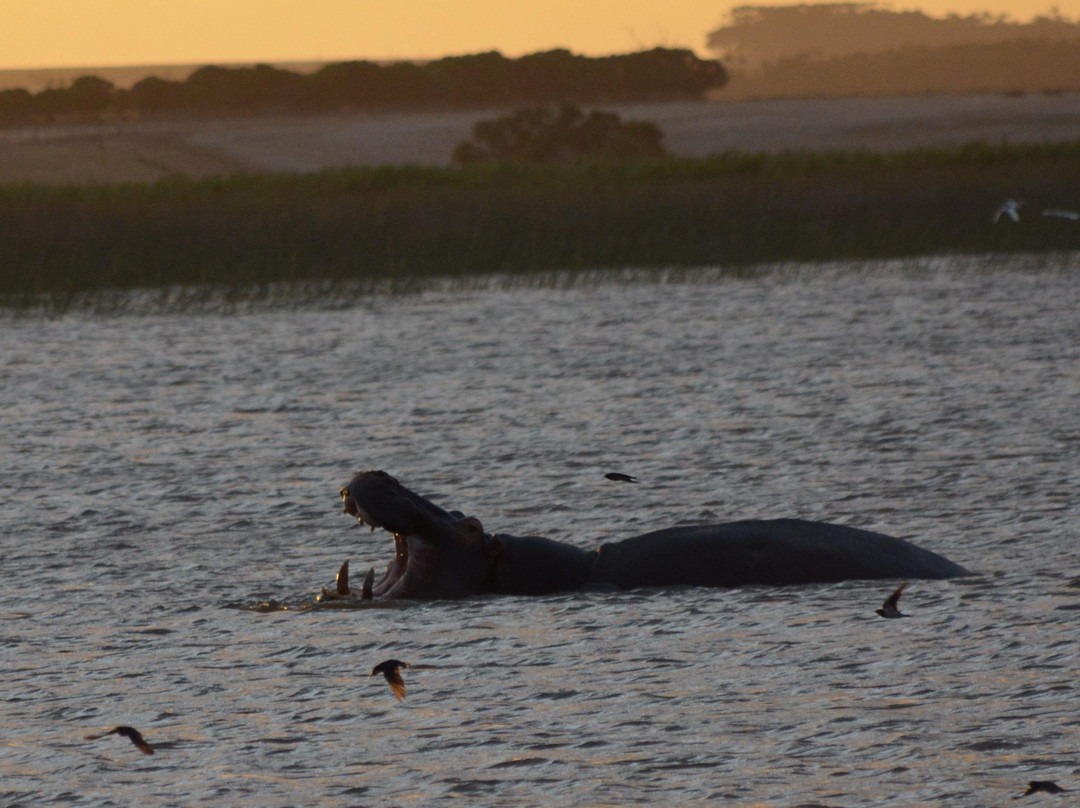 Nuwejaars Wetlands Guided Tours-Bredasdorp必去景点