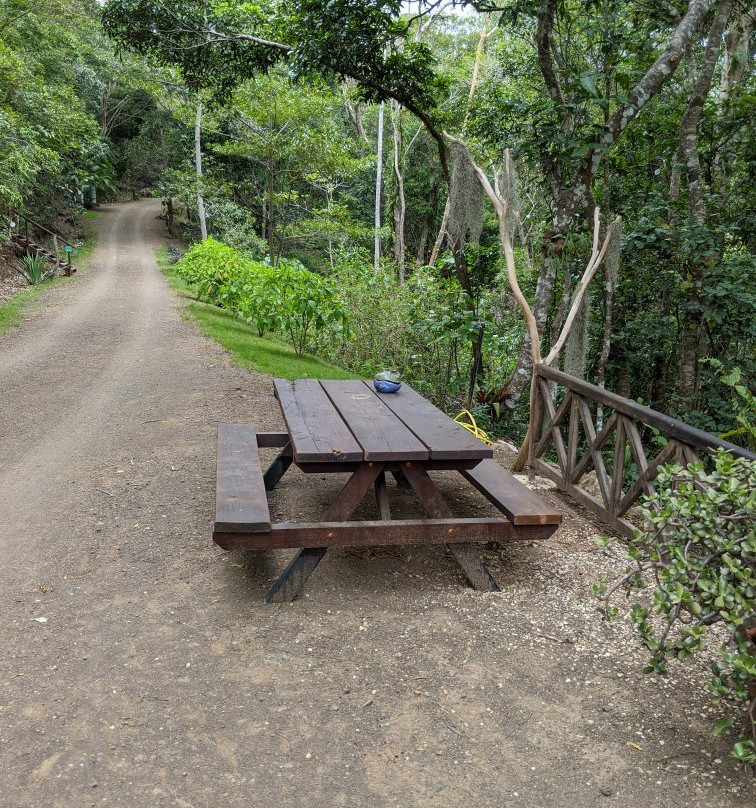 La Belle Verte Canopy Tours-Paita必去景点