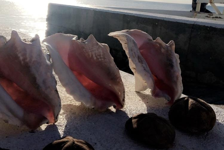 Parker’s Tours-Grand Turk必去景点