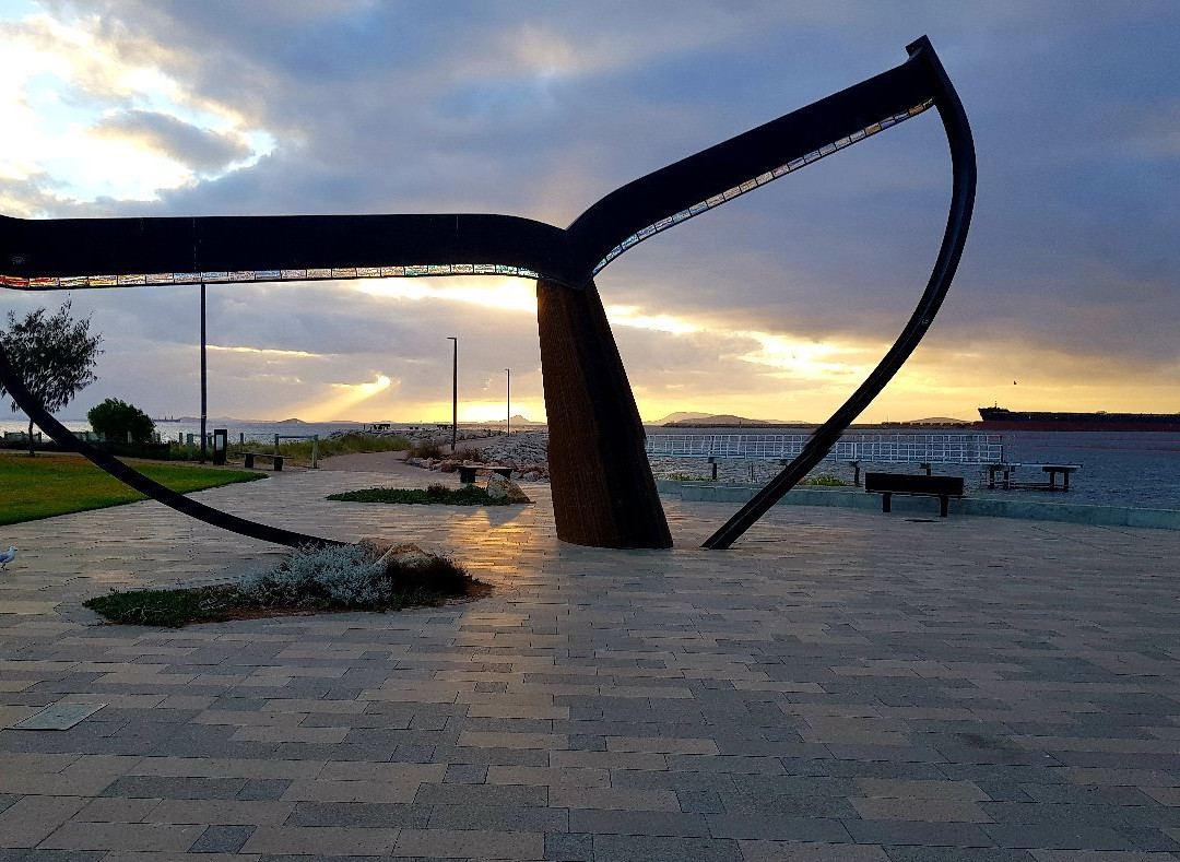 Esperance Whale Tail-埃斯佩兰斯必去景点