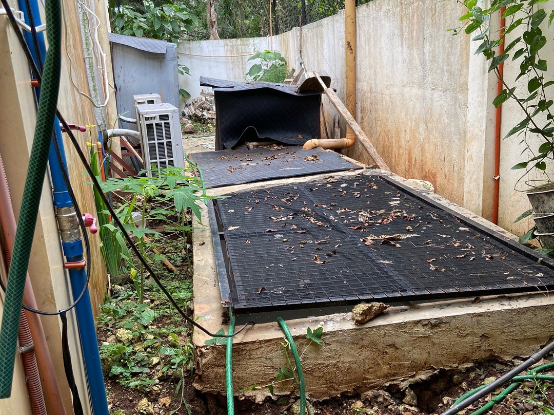 棕榈湾度假村主图