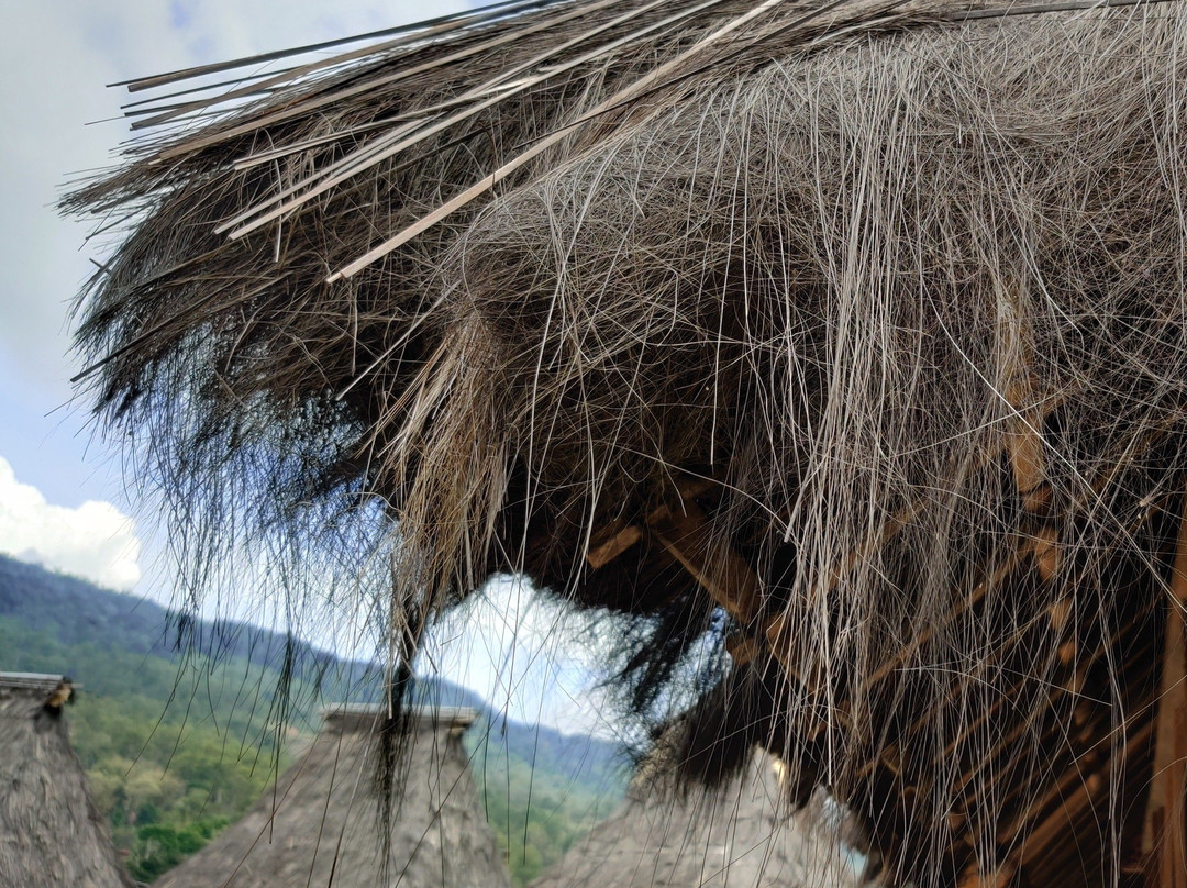 Wologai Traditional Village-弗洛勒斯岛必去景点