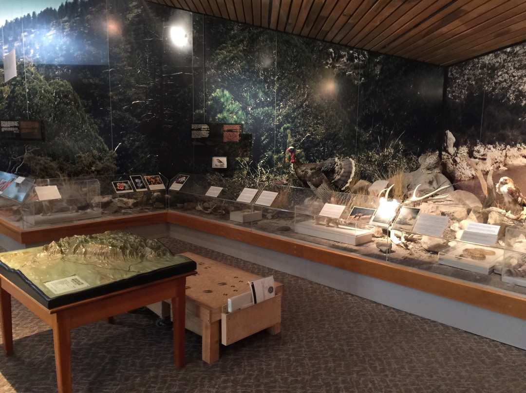 Pine Springs Visitor Center-Guadalupe Mountains National Park必去景点