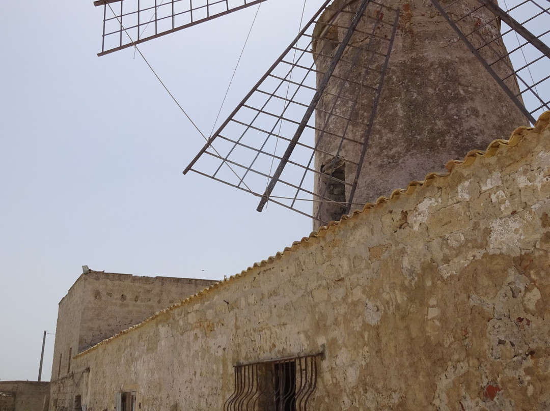 Museo del Sale-Paceco必去景点