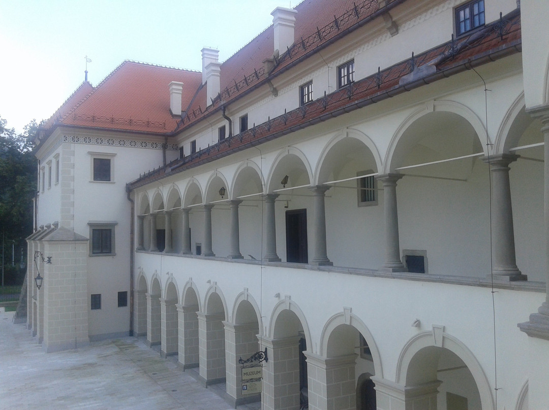 Muzeum Miejskie Suchej Beskidzkiej景点图片