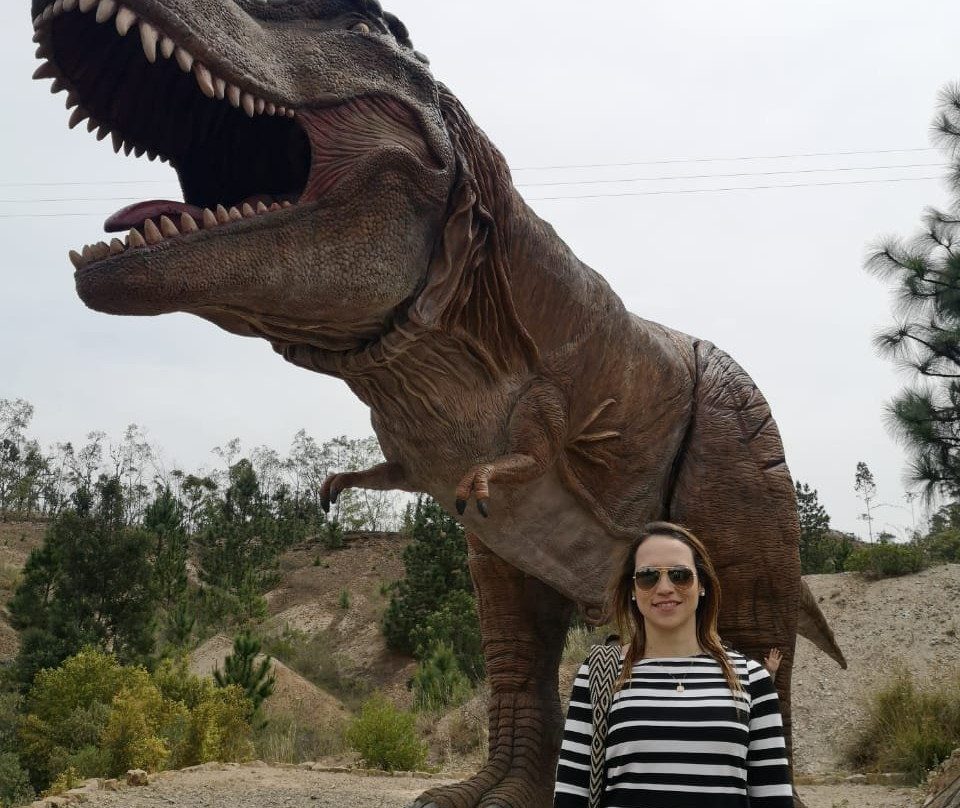 Gondava El Gran Valle de los Dinosaurios-莱瓦镇必去景点