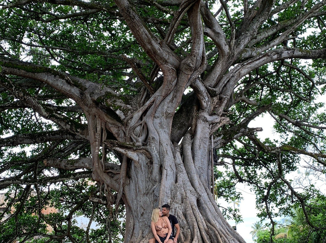 Emytour-普拉亚多海滩必去景点