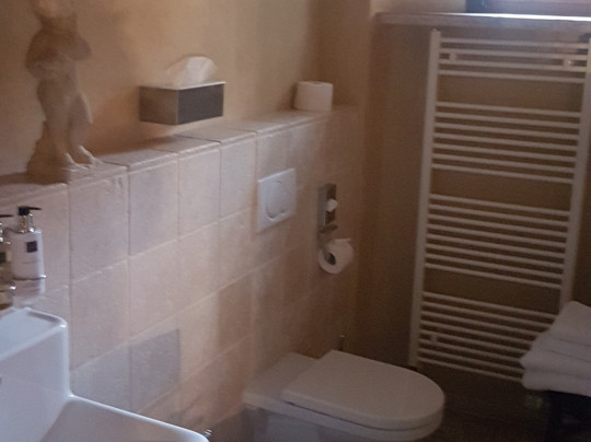 Landhotel Hoereth im Wald主图