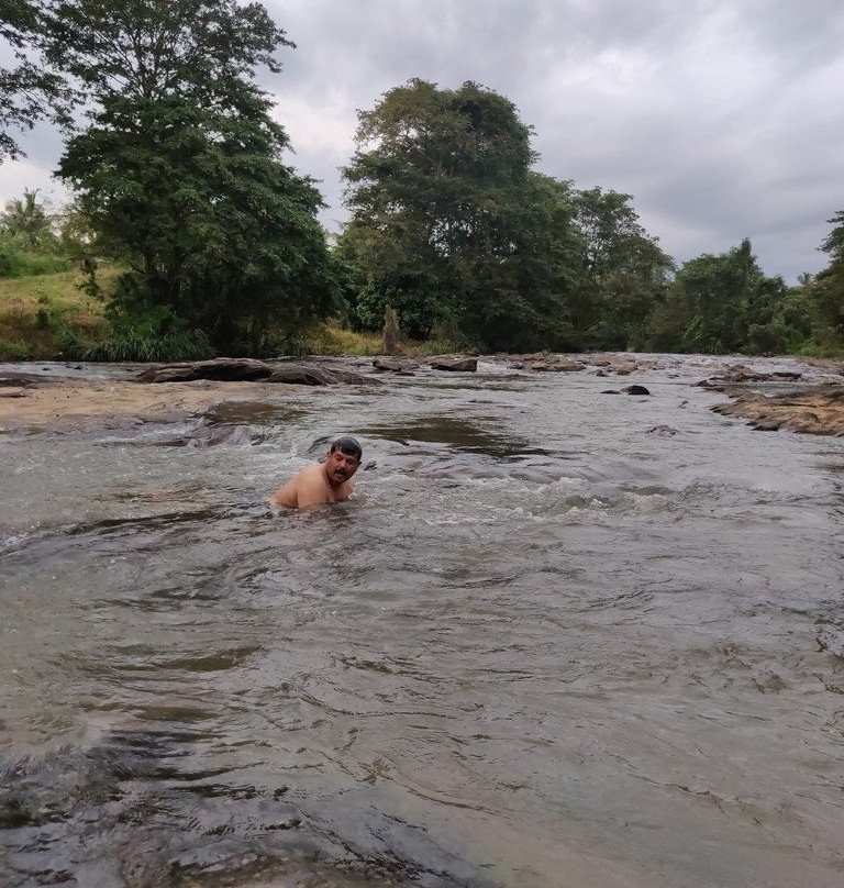 Hornbill River Camp主图