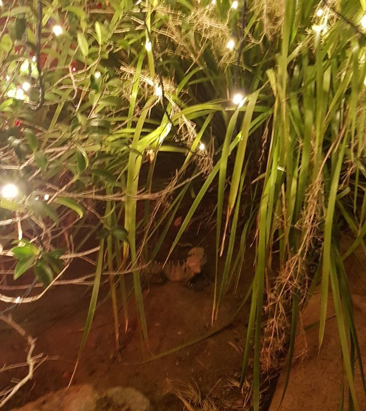 Nerima Gardens景点图片