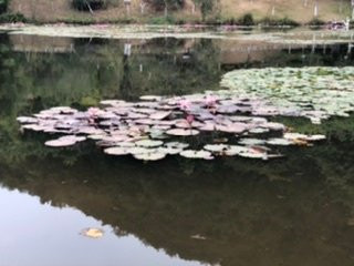 梅州神光山-兴宁市必去景点