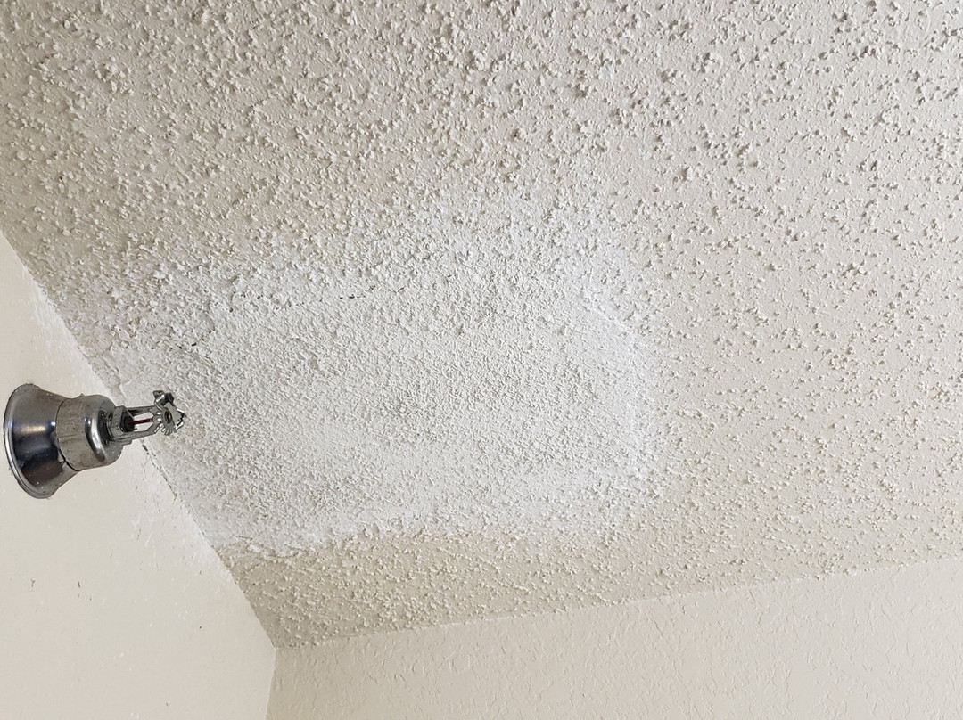 Quality Inn & Suites主图