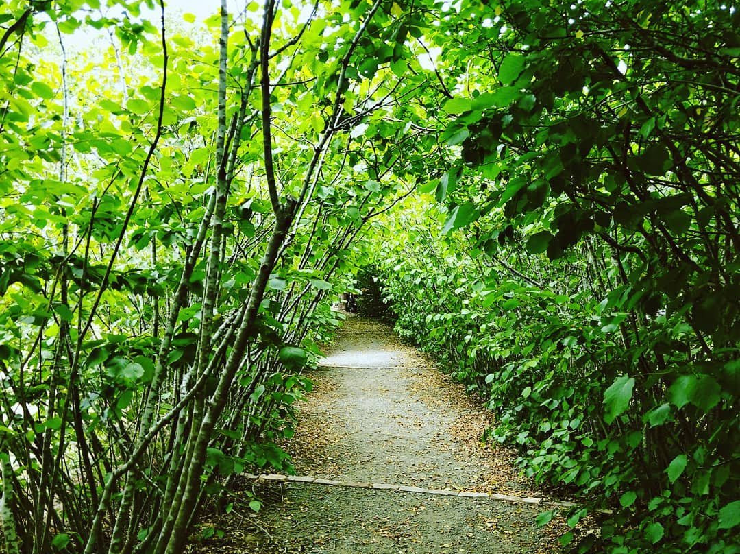 Harper's Mansion-Berrima必去景点