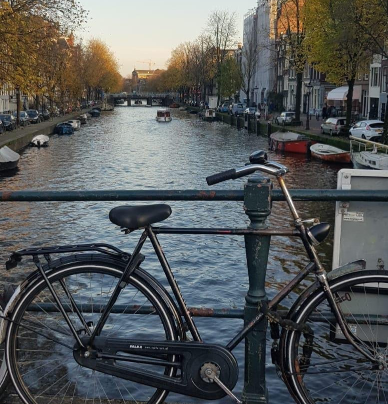 Amsterdam City Tours景点图片
