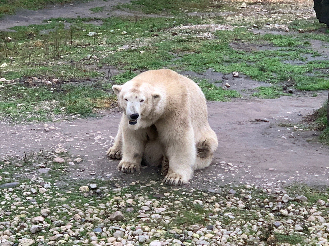 Zoo Adventure Park / Zoo Seikluspark-塔林必去景点