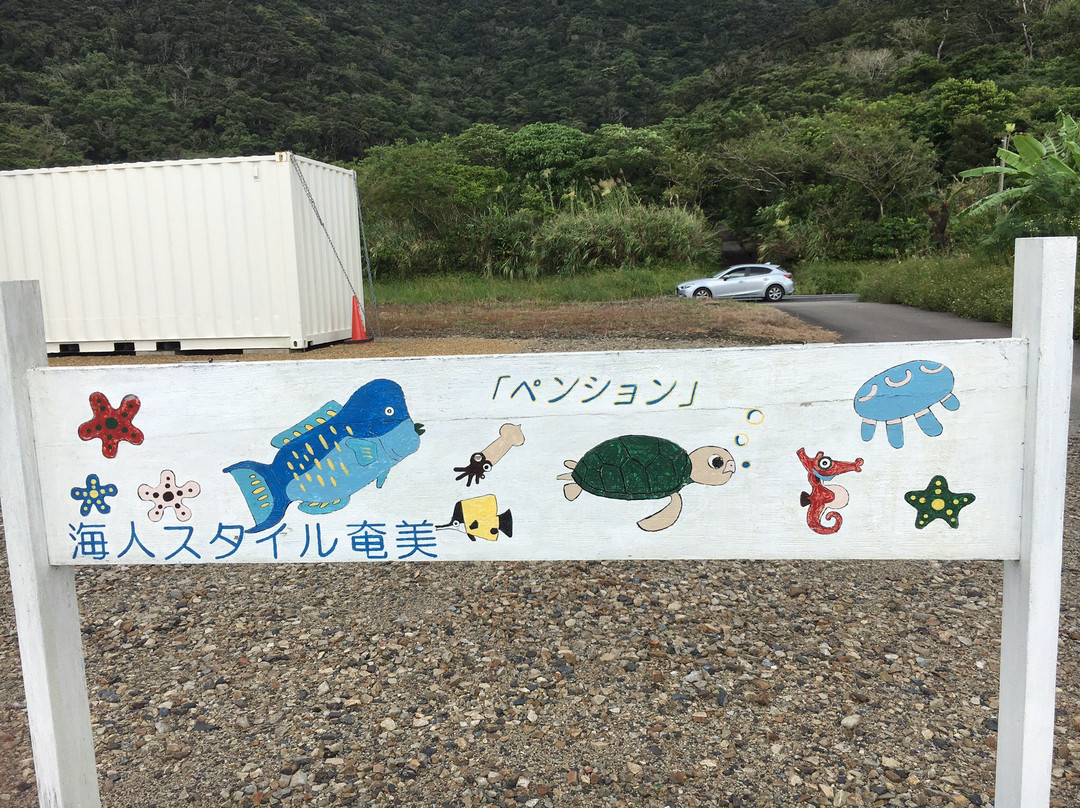 Umichu Style Amami主图