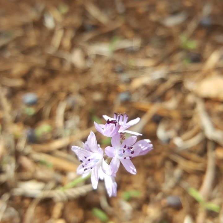 伊斯克乌尔国家公园-比塞大必去景点