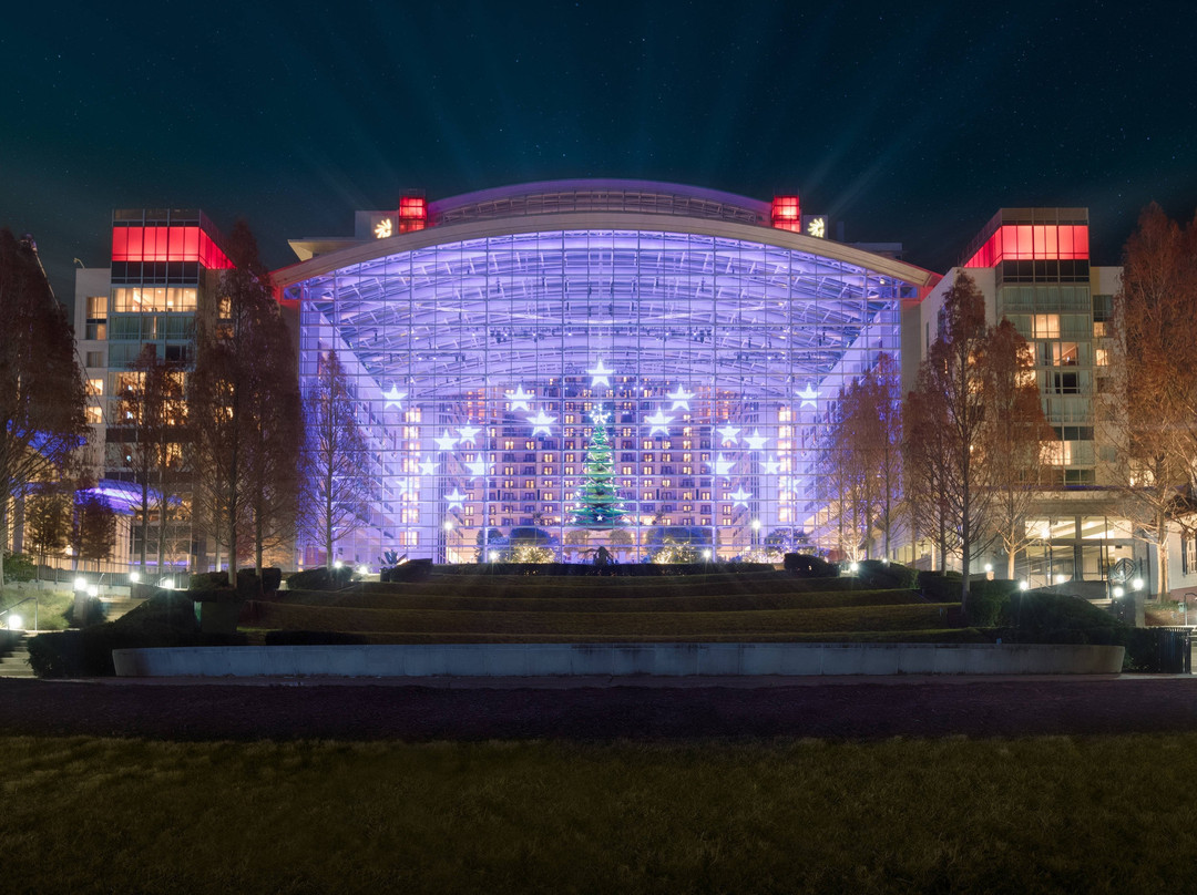 盖洛德国家度假会议中心酒店主图