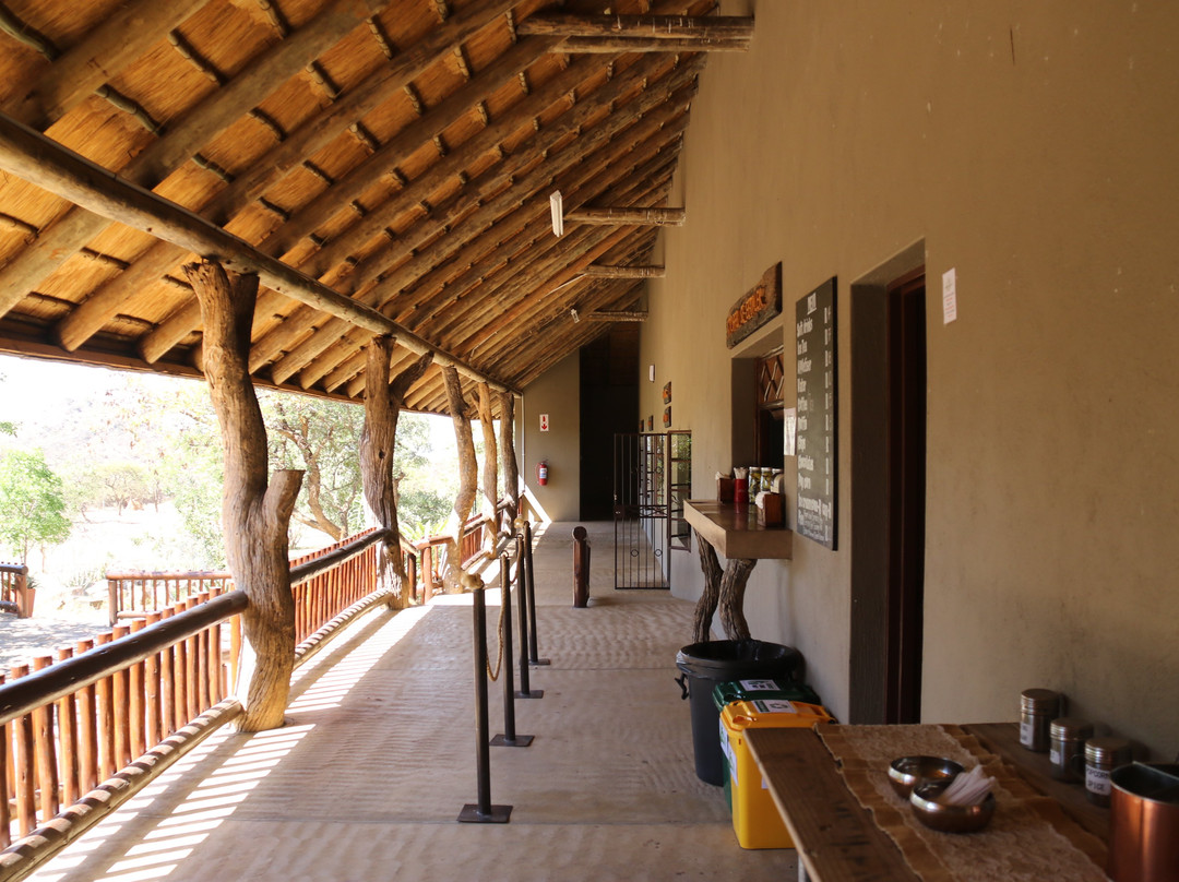 Moholoholo Wildlife Rehabilitation Centre景点图片