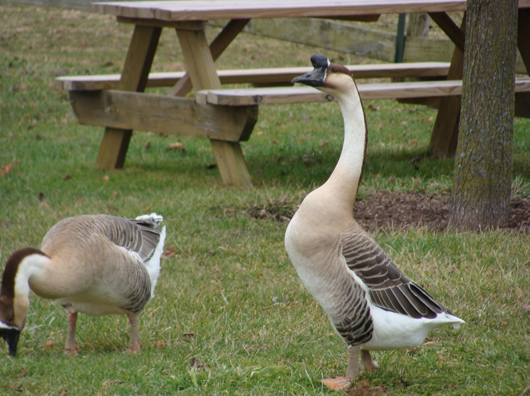 Blackhawk Winery and Vineyard-Sheridan必去景点