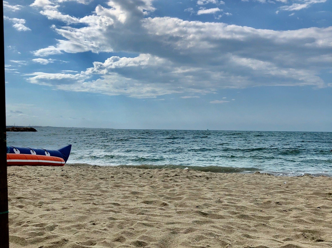 Hotel Palma Linda主图